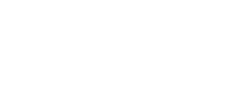 Case Vault 